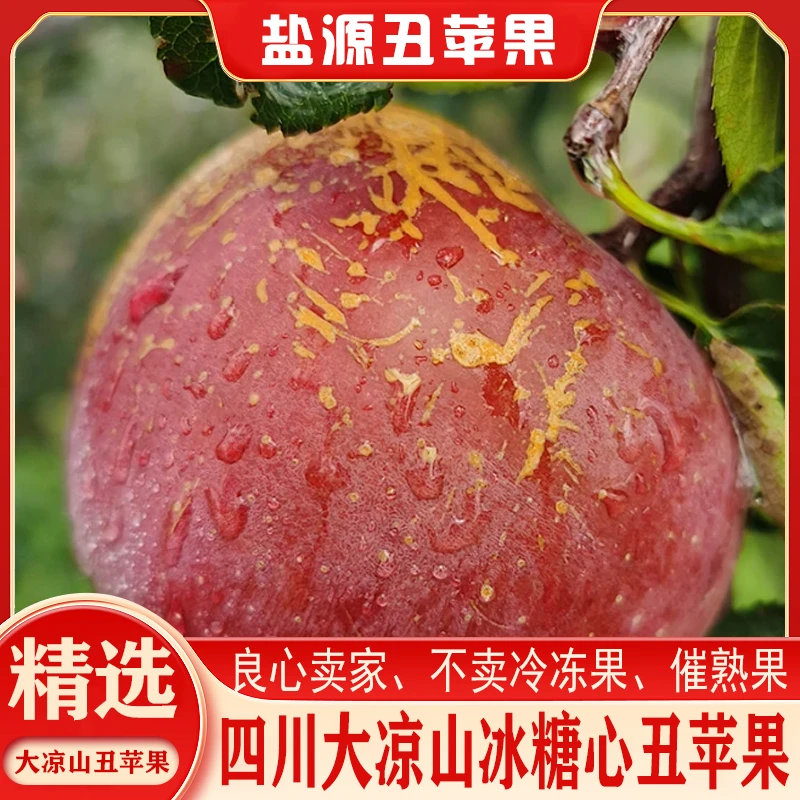 【爆甜】正宗大凉山盐源丑苹果冰糖心当季新鲜红富士苹果水果整箱