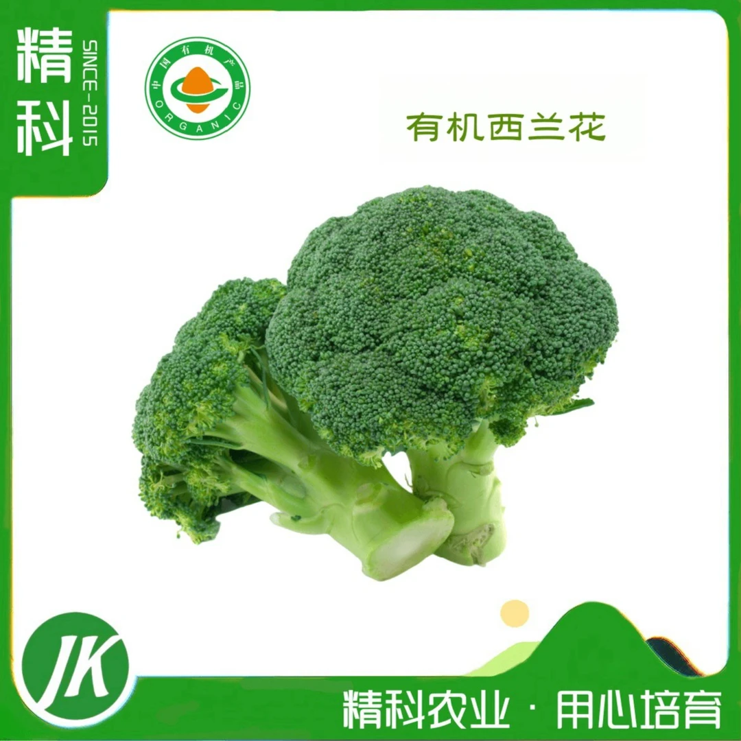 精科优鲜·有机西兰花 鲜嫩 清香爽口 500g装 现摘现发 有机蔬菜
