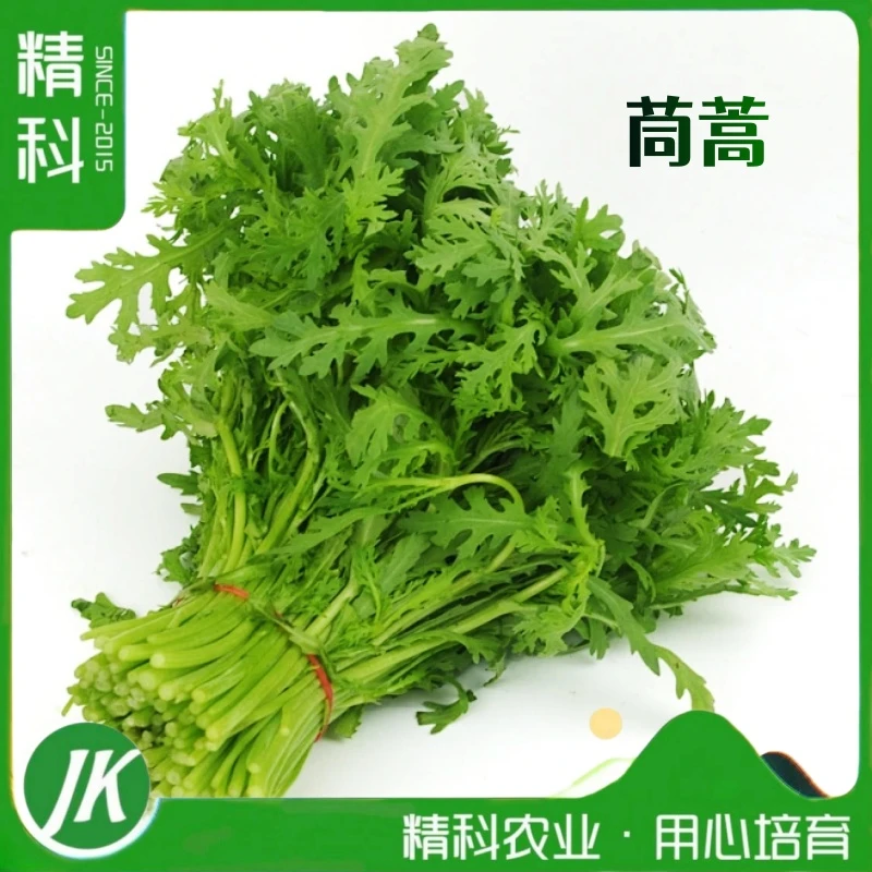 精科优鲜·有机茼蒿 净含量2斤 鲜嫩蔬菜 现摘现发 基地直发