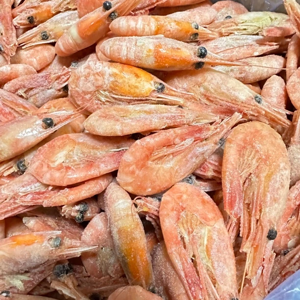 北极甜虾海藻头籽70-90规格