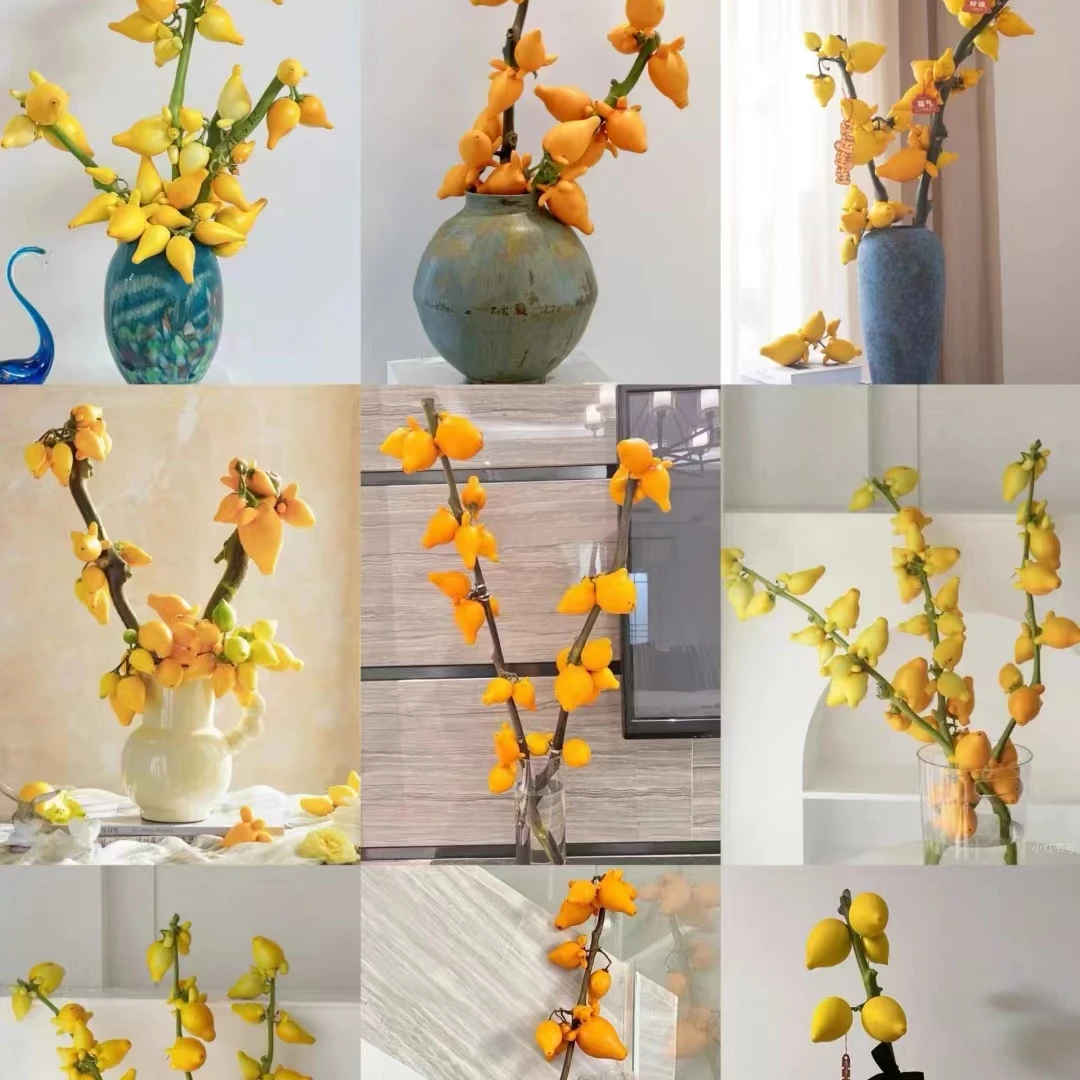 【五代果小猪佩奇】不用插水做干花【大辣椒甄选鲜花】