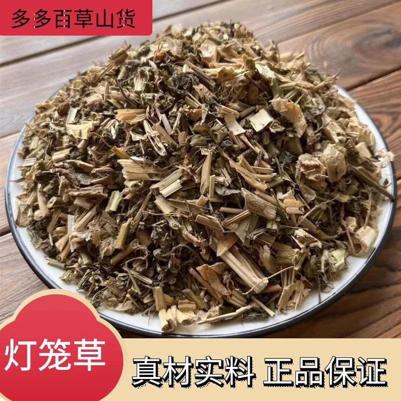 新货灯笼草野生灯笼草打扑草正品天泡子挂金灯晒干叶菜1000g250g