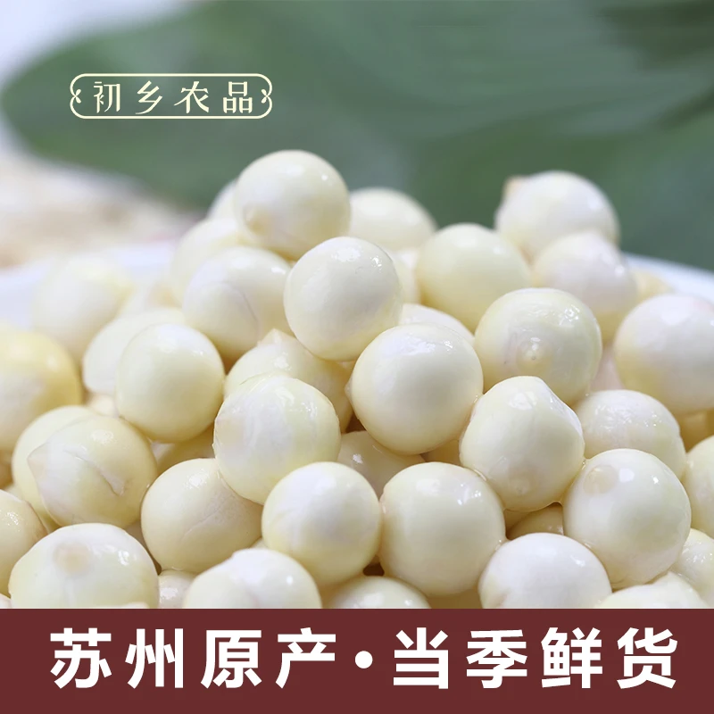 【初乡农品】苏州正宗新鲜芡实鲜苏芡（鸡头米）