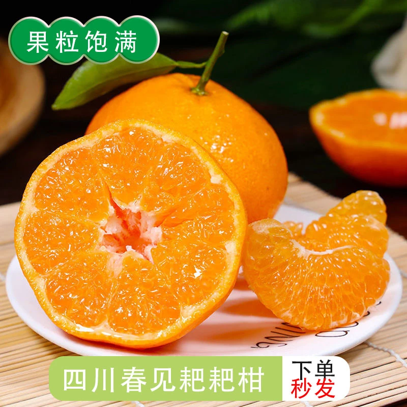 正宗春见耙耙柑4.5-5斤非橙子丑橘新鲜水果包邮多汁