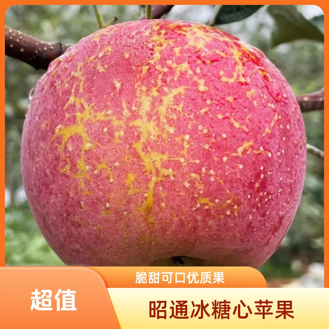 正宗云南昭通丑苹果口感果园水果直发5斤快递包邮