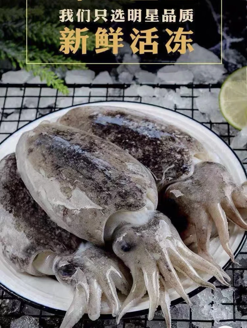 海捕 野生大墨鱼净重5斤 液氮锁鲜发货