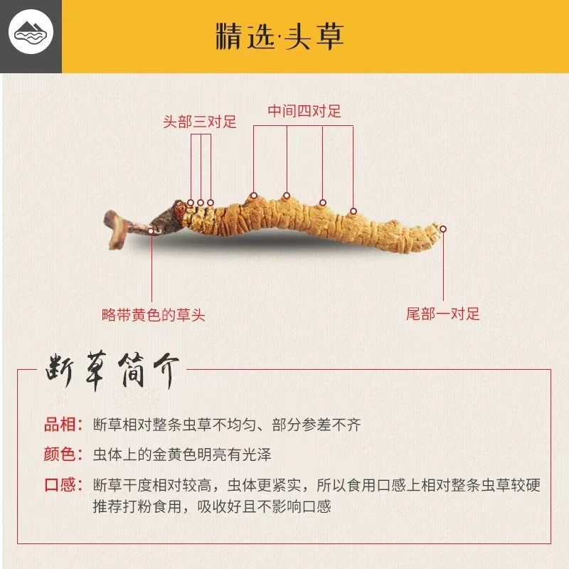 纪汉堂【特大断草】那曲比如县断草冬虫夏草只做2024年新草