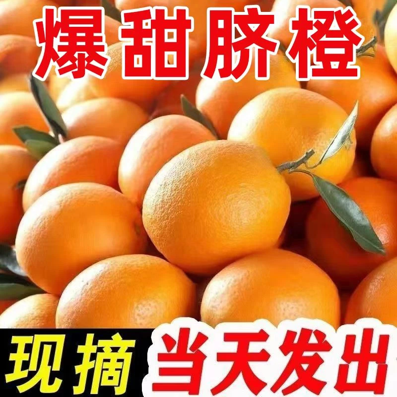 新鲜脐橙子冰糖橙新鲜孕妇水果非正品赣南脐橙手剥甜橙纽荷尔脐橙