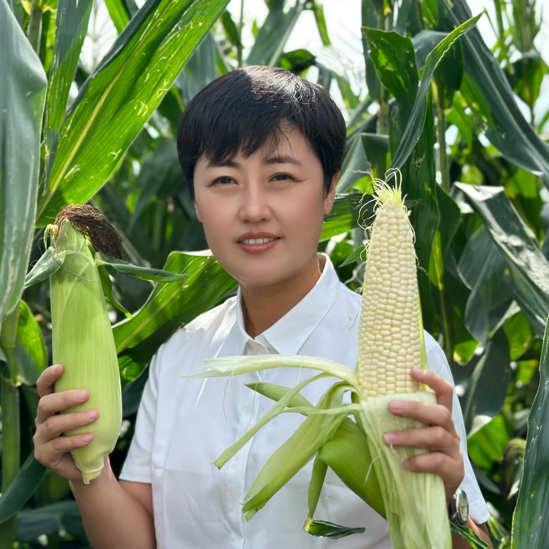 2024款哨口村新鲜玉米6斤以上拍8发10（两根试吃）软糯香甜真空包装