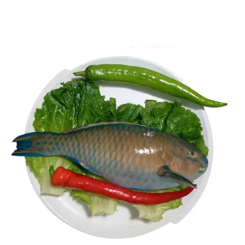 【海族鲜】青衣鱼深海野生新鲜高品质鲜活食用水产400-1000g1条