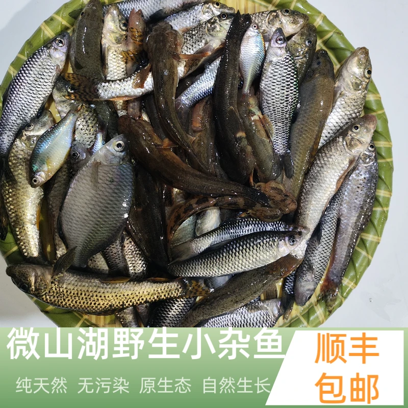 小渔姐妹微山湖野生小杂鱼顺丰包邮