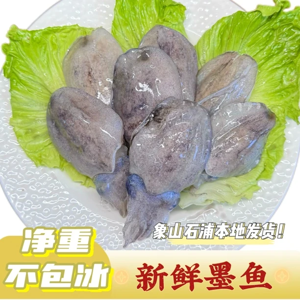 新鲜小墨鱼乌贼鱼东海小目鱼