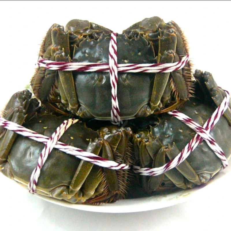 精品六月黄(大闸蟹(母，3.5一4两/只)，1只