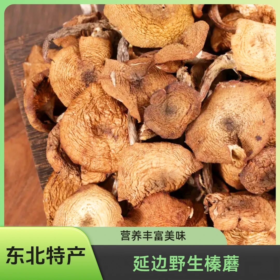 延边野生榛蘑 东北特产 传统采摘