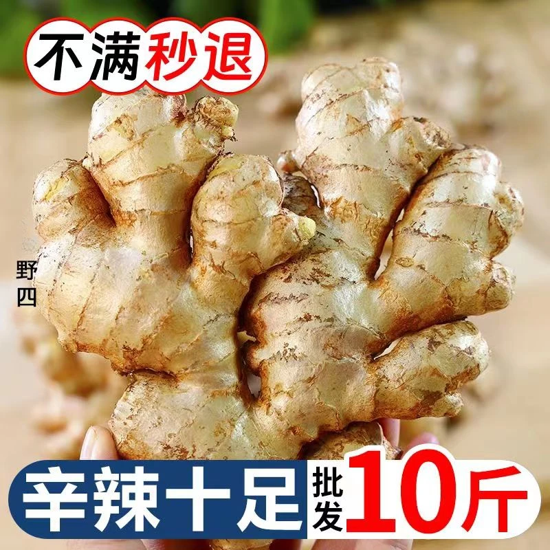 【坏果包赔】云南生姜老姜新姜云南特产大黄姜无硫熏月子姜风干姜