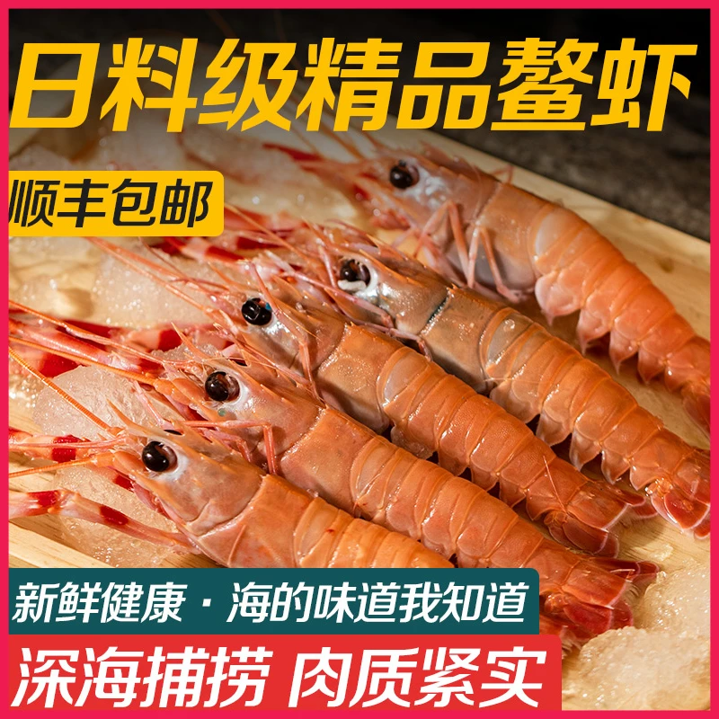 【遇上鲜福利】舟山L号海鳌虾新鲜海鳌虾刺身甜虾东海优质鳌虾100g