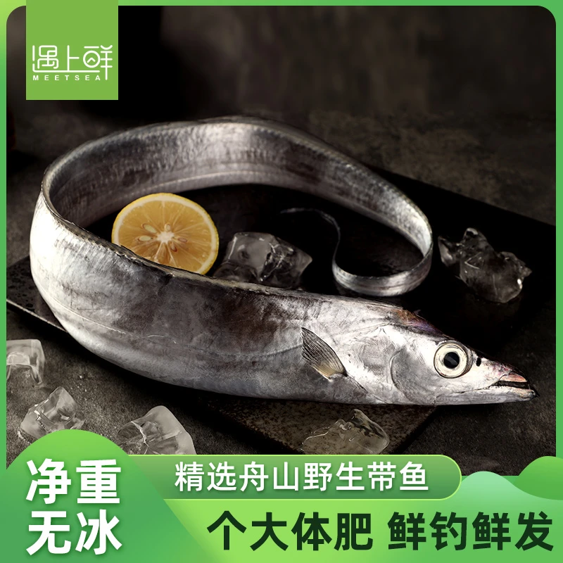 舟山东海野生钓带 2.7斤精选新鲜带鱼舟山本地发货冷运配送