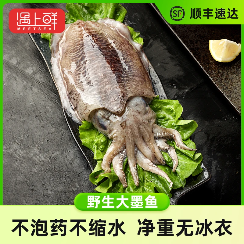 舟山野生大墨鱼 鲜活速冻 深海渔场 清蒸肉质美味 冷运配送