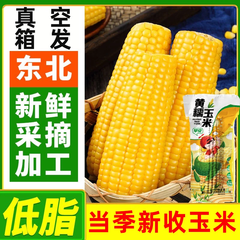 【整箱大棒黄糯玉米】东北玉米真空鲜食新鲜采摘健身减脂必备餐苞米