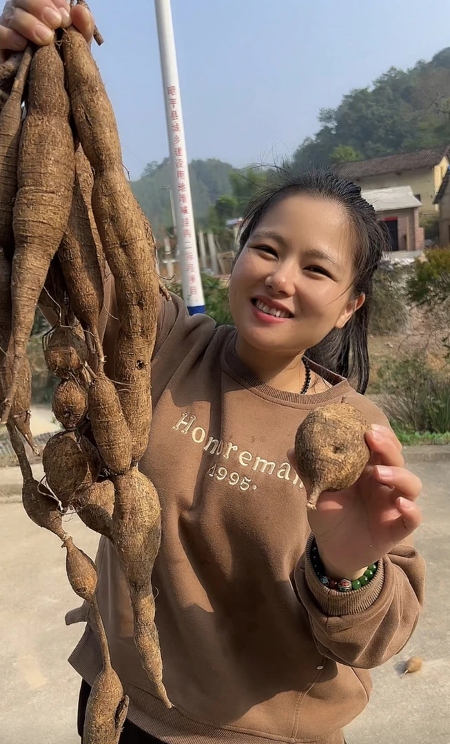 广西深山生货牛大力薯泡酒煲汤煮水