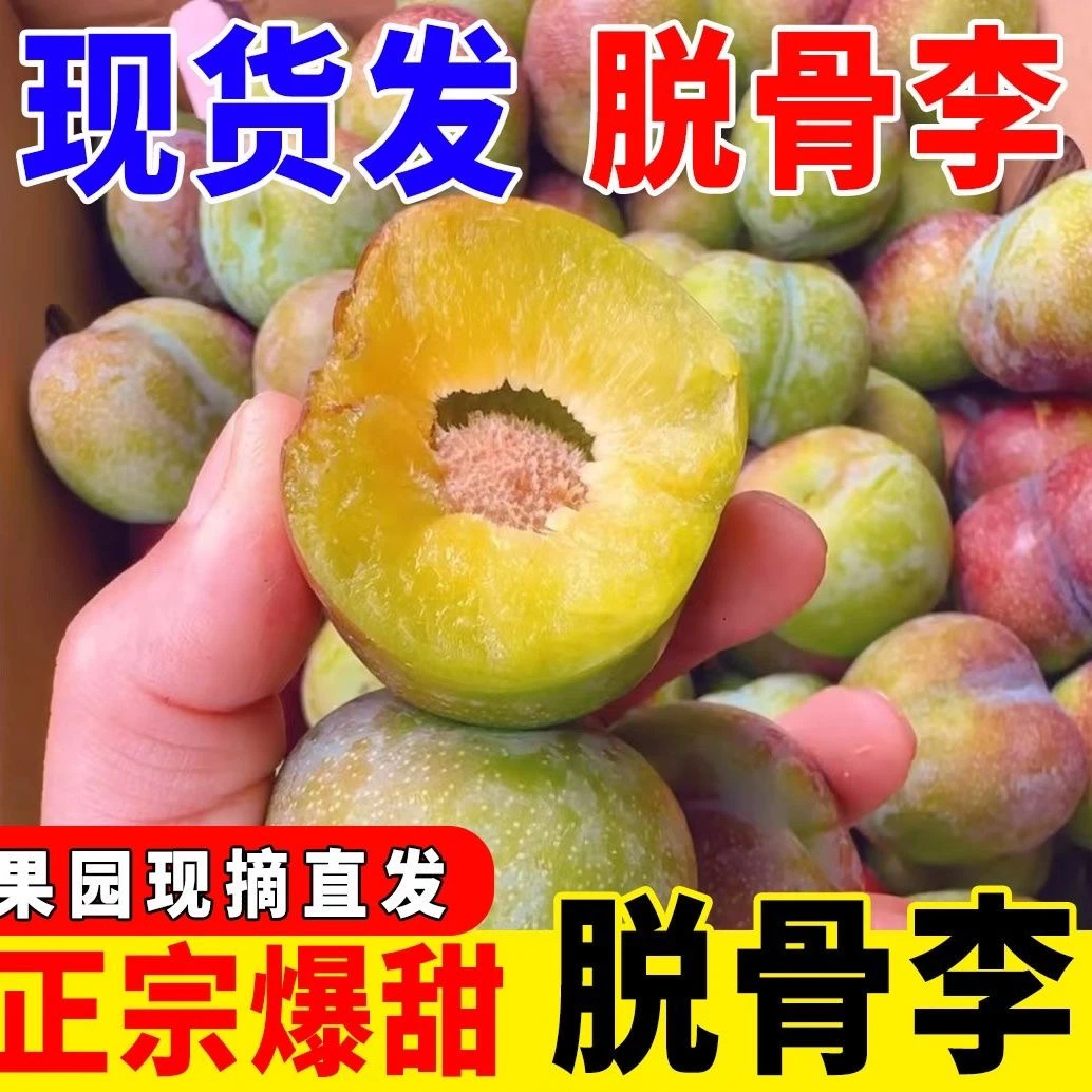 T2四川高山脱骨李子新鲜水果现摘甜脆李子水果脆甜多汁整箱包邮