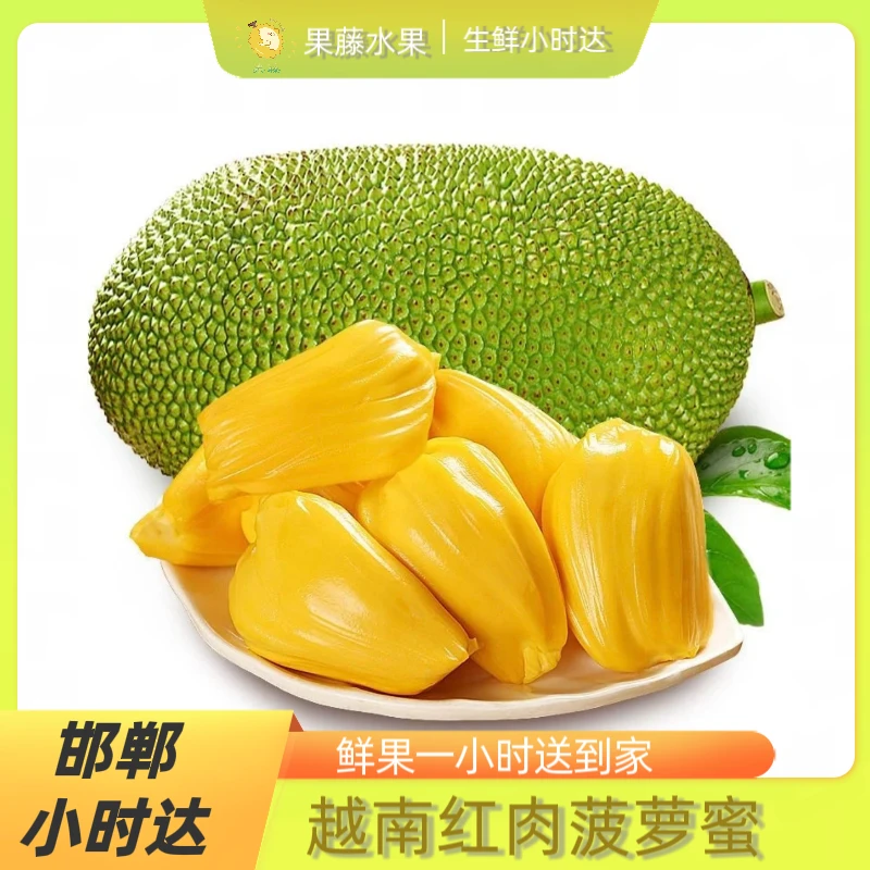 【去心】越南红肉菠萝蜜 约8斤
