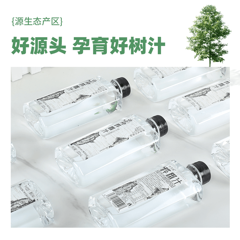 活力桦 白桦树汁原汁300ml纯木植物原液饮用水新鲜清甜好喝自然