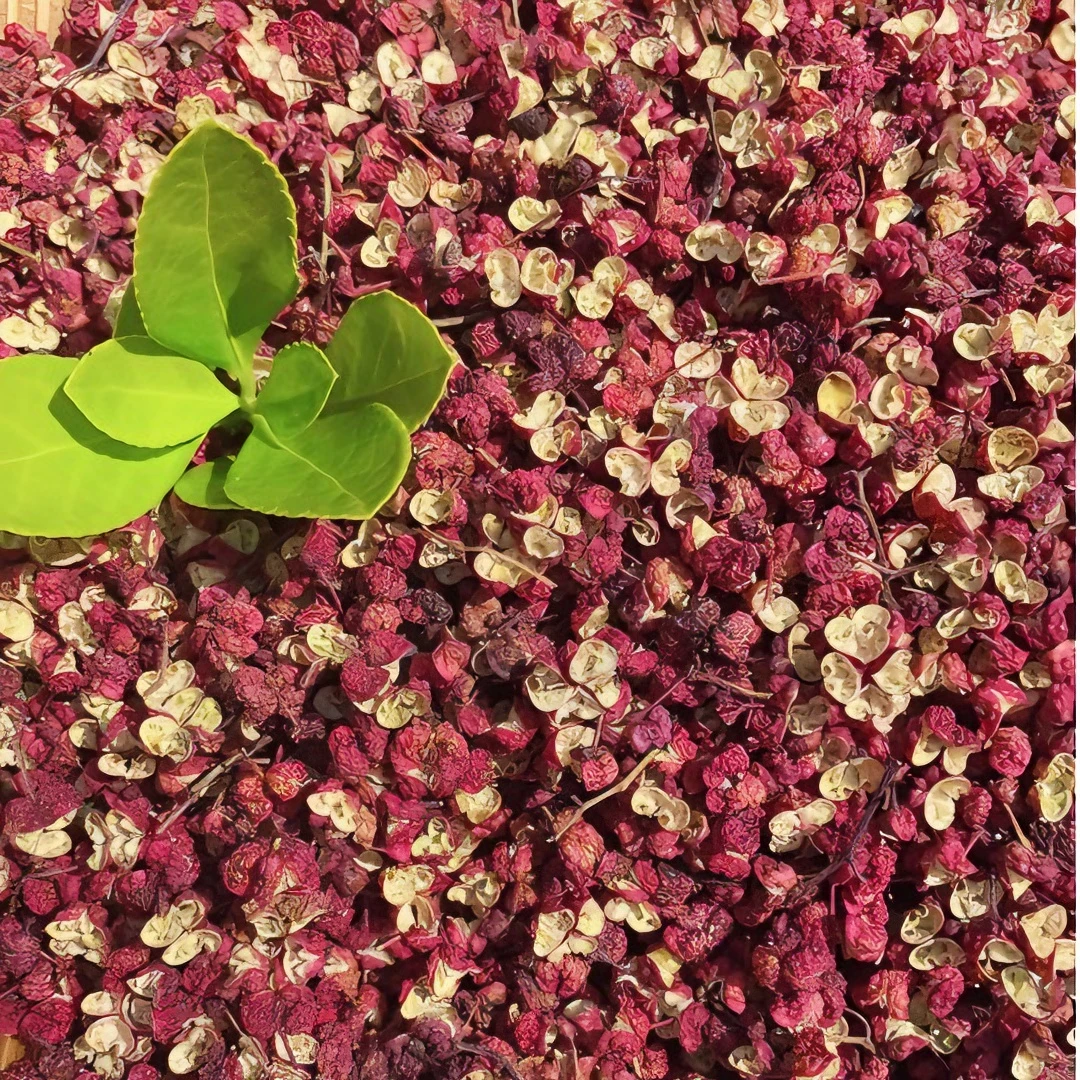 茂县汶川大红袍花椒250g  500g包邮