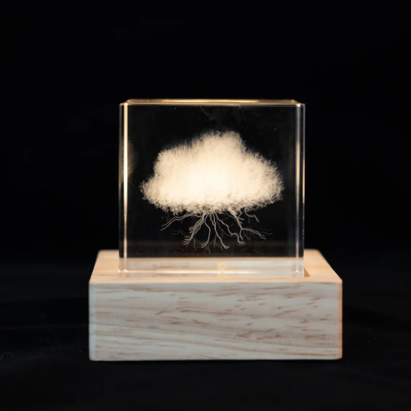 领养一朵云闪电创意生日礼物送男友女友 礼品袋礼盒装 毕业礼物