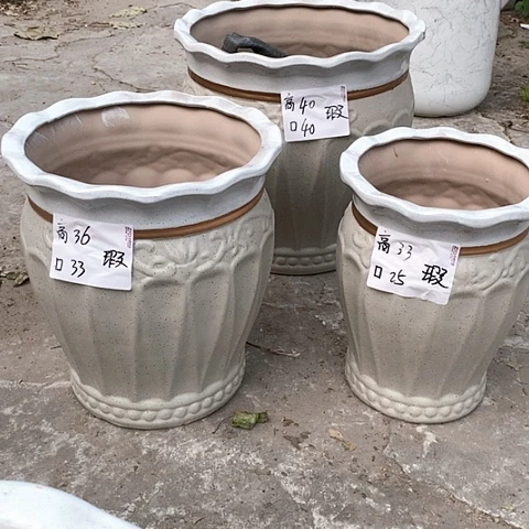 红陶20CM（含）-50CM（不含）