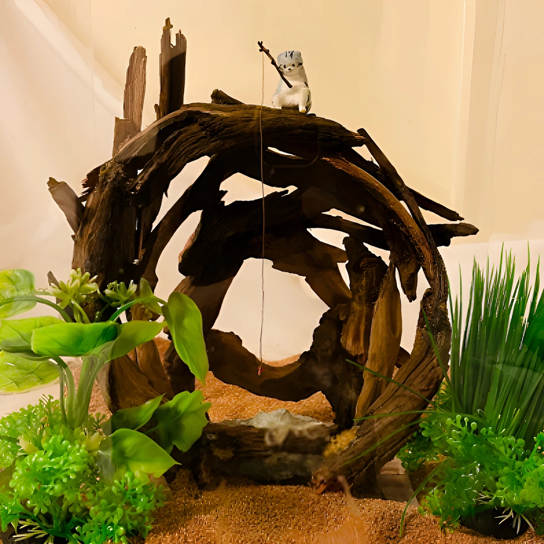 【鱼缸沉木造景】鱼缸里的鬼斧神工（不含装饰和底沙）