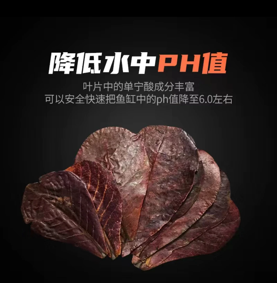 只有展斗Betta 斗鱼专用榄仁叶 降酸 PH值调节剂水质榄仁叶
