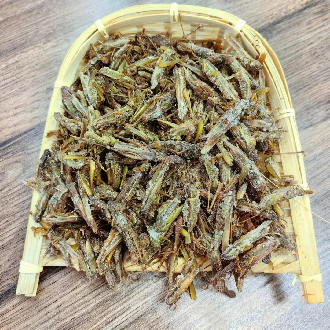 稻蝗小蚂蚱新鲜冷冻可油炸干煸发货快非即食3斤味道鲜美