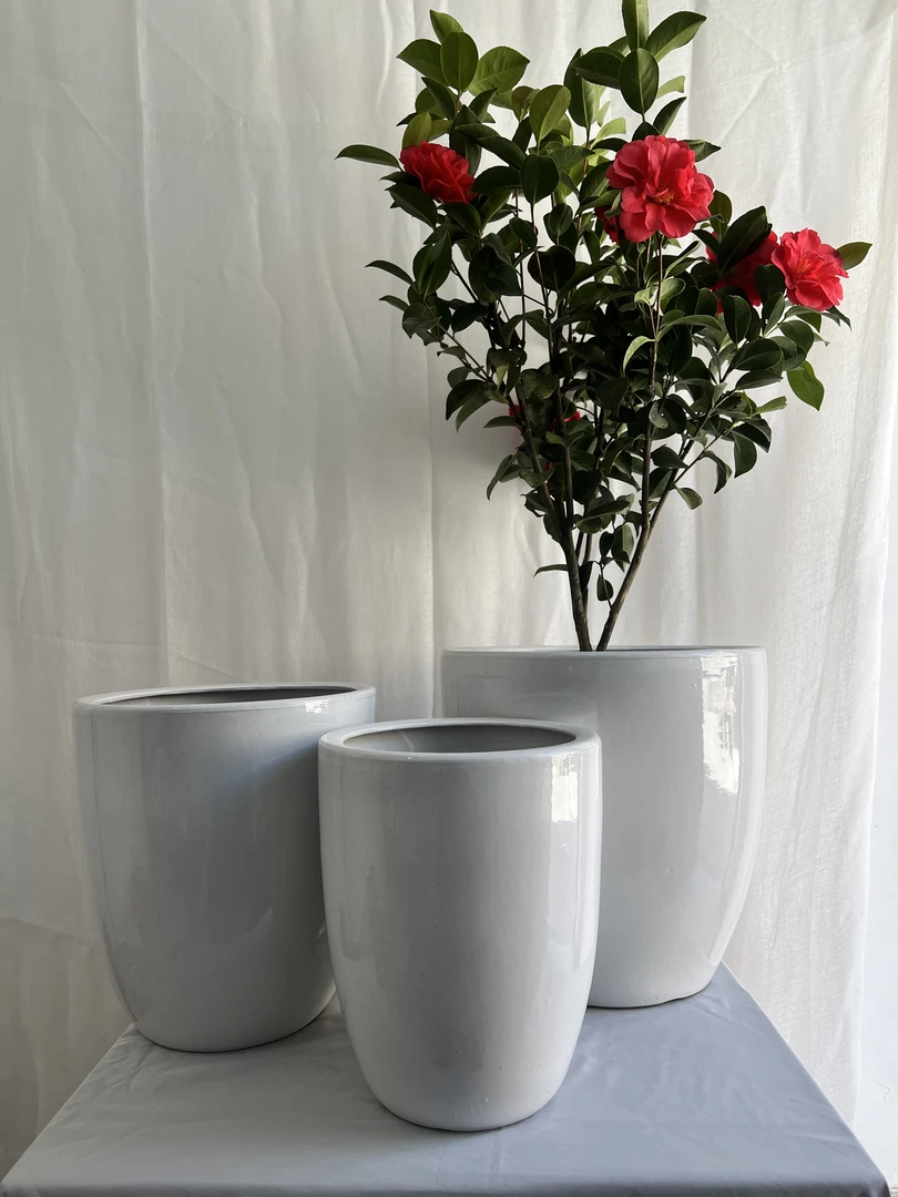 圆肚子弹白色落地摆放人工纯手工高温陶瓷花盆发财树