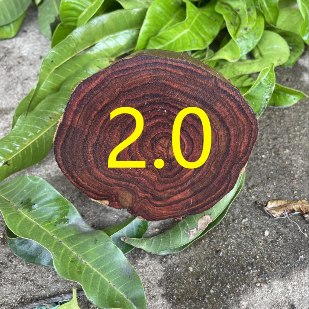 海南黄花梨定制2.0X12颗 不换不退配饰黄檀