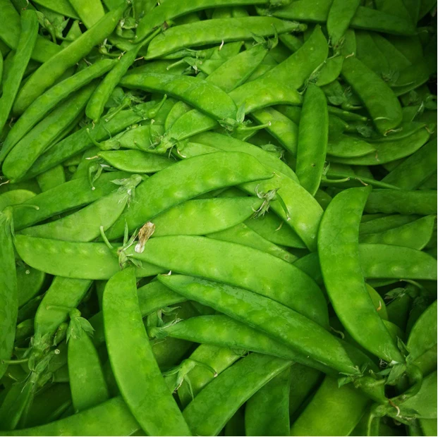 【蔬菜配送】荷兰豆 约400g
