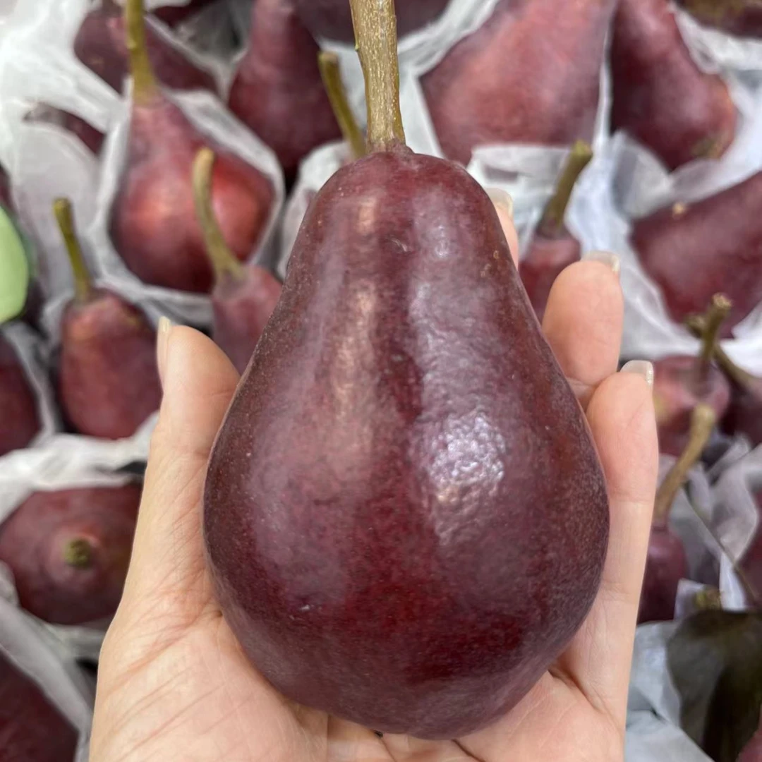 【鲜果配送】红茄梨 约600g