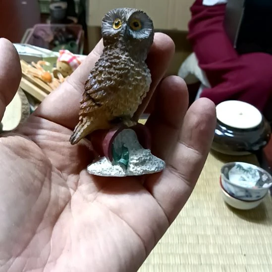 壶嘉***糖基哥日瓷精选速购