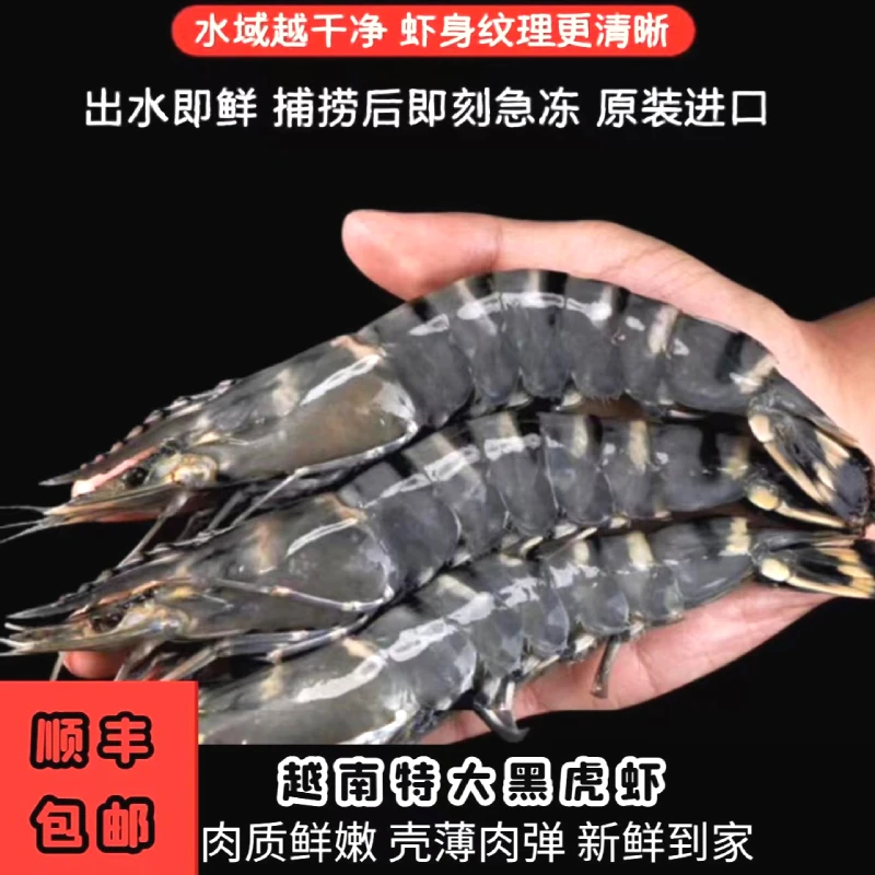 天然海捕鲜活速冻特大黑虎虾越南产地虾类海鲜水产 顺丰冷链空运