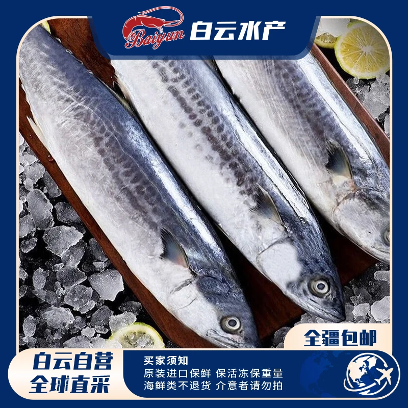 【白云严选】深海捕捞精品大鲅鱼  8kg/条