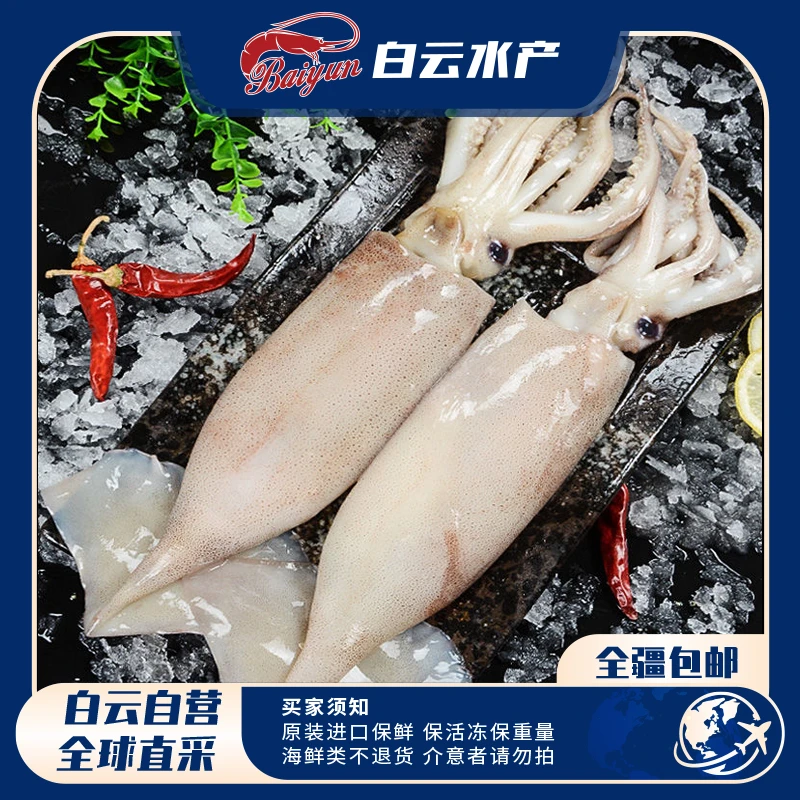 【白云严选】印尼深海新鲜海捕大鱿鱼 5kg/包