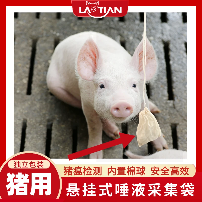 猪用唾液取样绳取样袋非洲猪瘟唾液采集棉绳棉口袋独立包装悬挂式