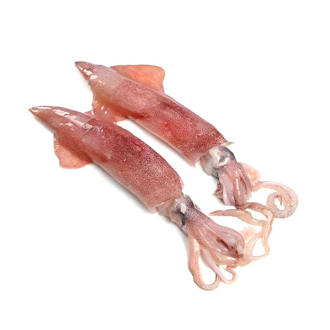 ［新鲜］鱿鱼，管鱿500克(约2-3条)