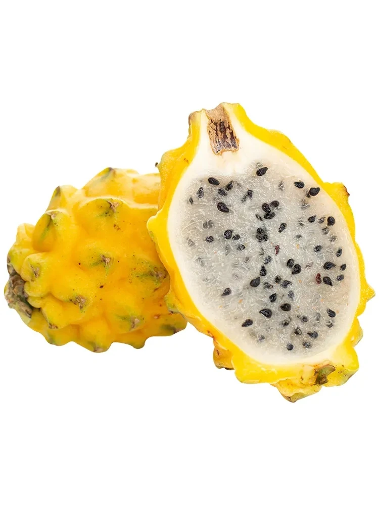 ［海南燕窝果］(约3斤左右6粒大果)/箱