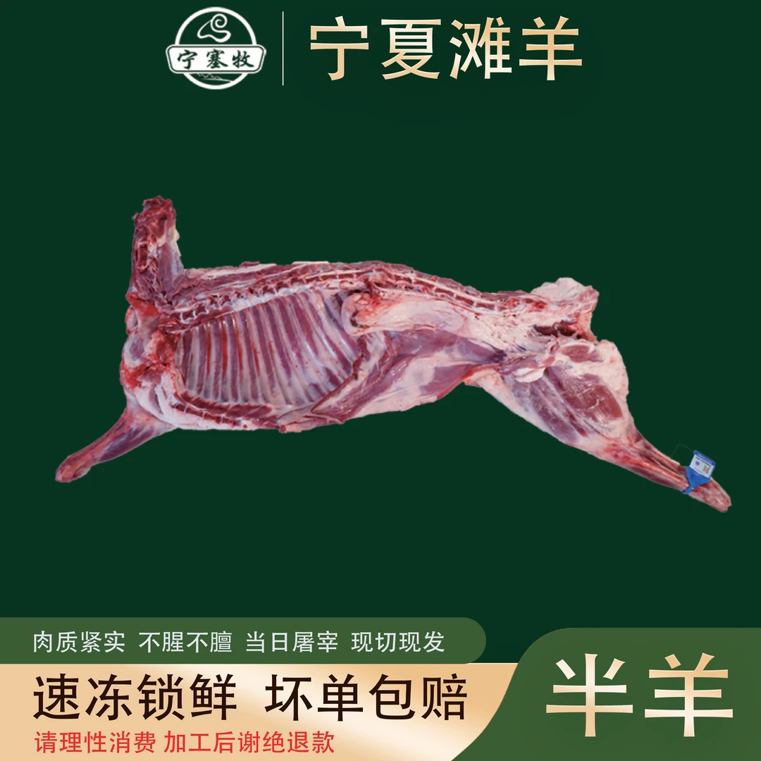 [礼盒装]半只羊10斤羔羊肉 宁塞牧宁夏滩羊鲜肉鲜切 火锅烧烤食材