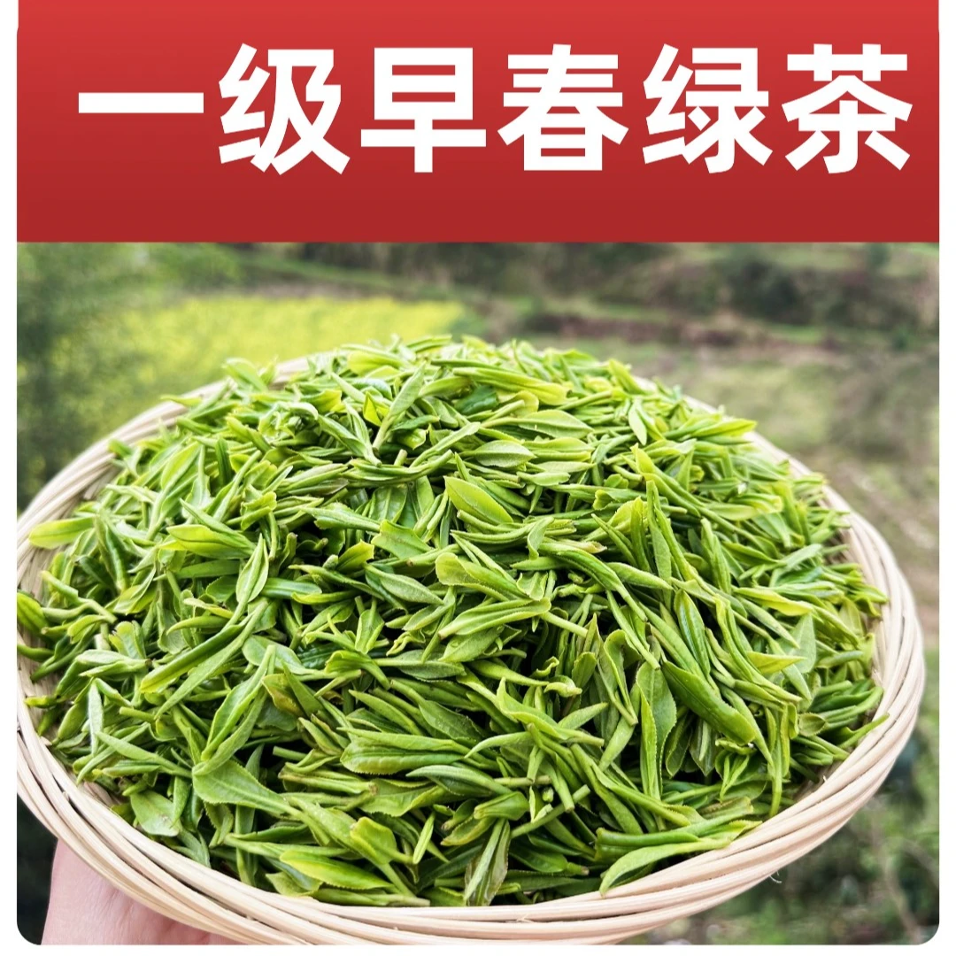 2024年一级绿茶叶新茶上市浓香型耐泡明前茶头采头春茶叶黄冈特产