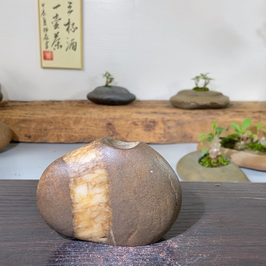 红陶20CM（含）-50CM（不含）天****9