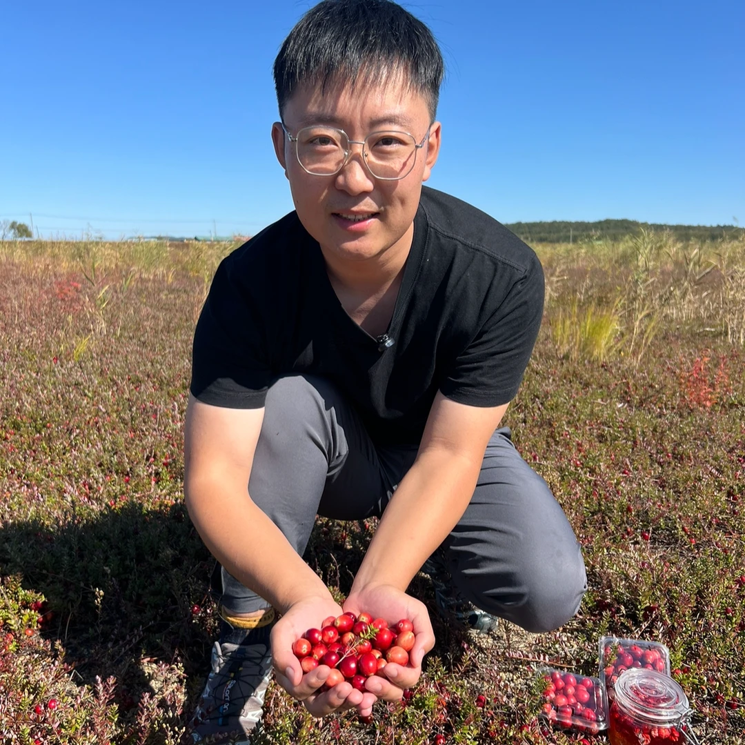 新鲜蔓越莓鲜果产地直发500克