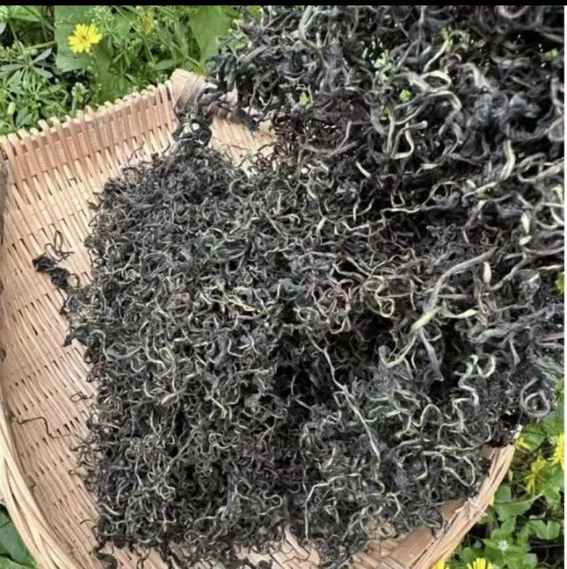 【主播推荐】  正宗山货蒲公英 拍一发二  可搭配枸杞
