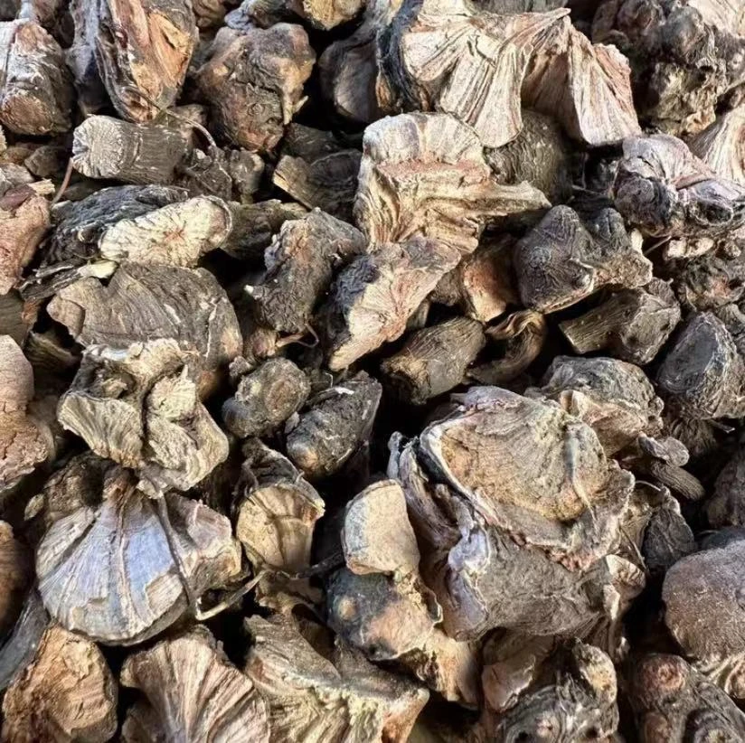 【主播推荐】  将军草  可搭配枸杞 1